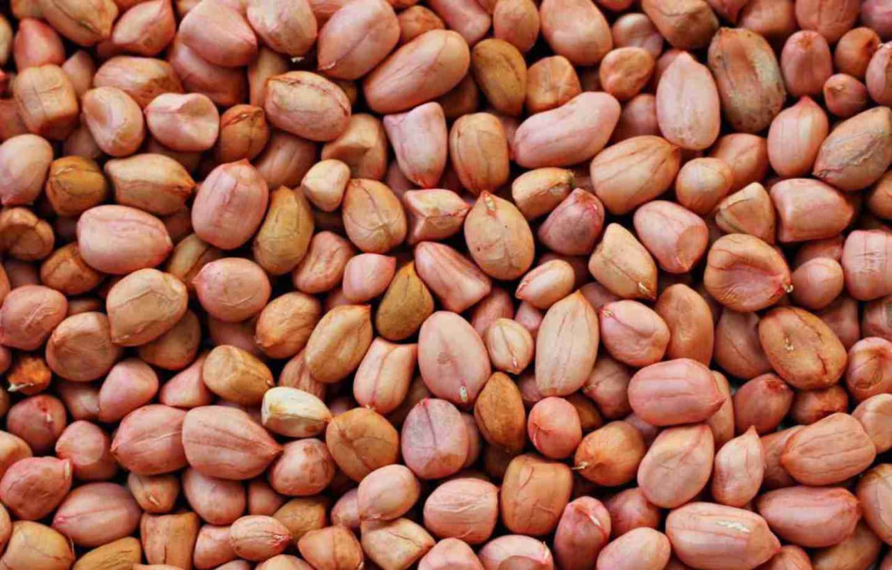 Dry Fruits
