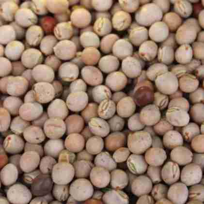 Dry Fruits