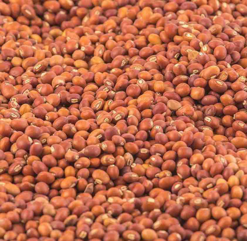 Dry Fruits