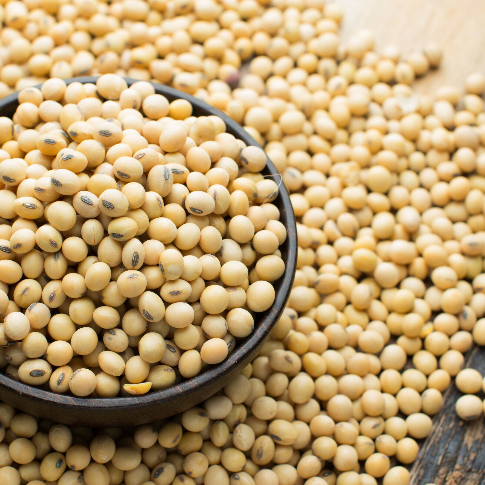 Daal