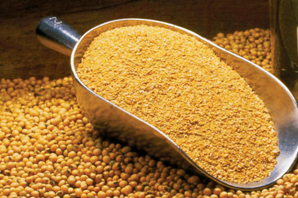 Daal